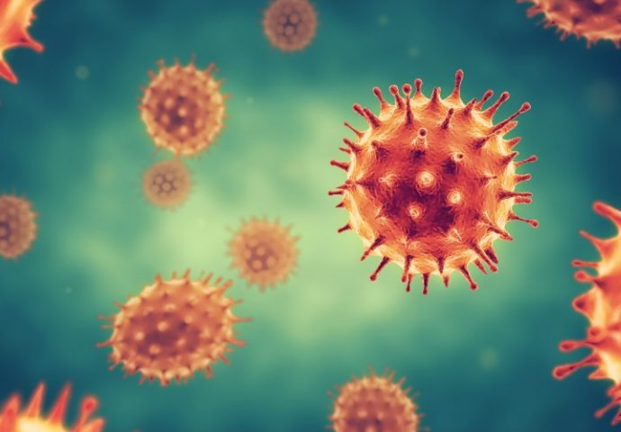 Nije isključena ni pojava bosanskohercegovačkog soja COVID-19