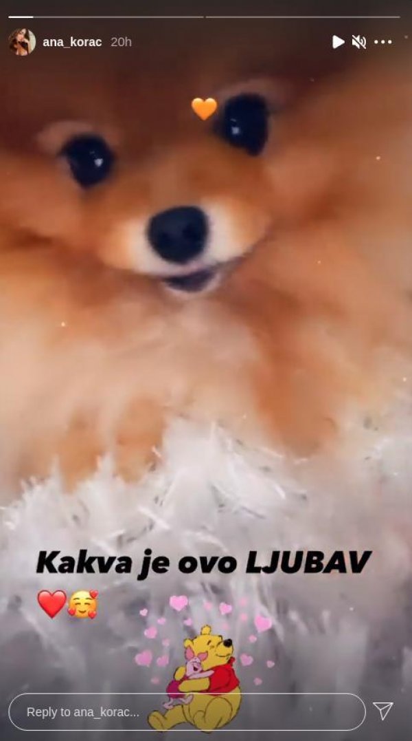 screenshot-from-2021-02-02-19-16-56