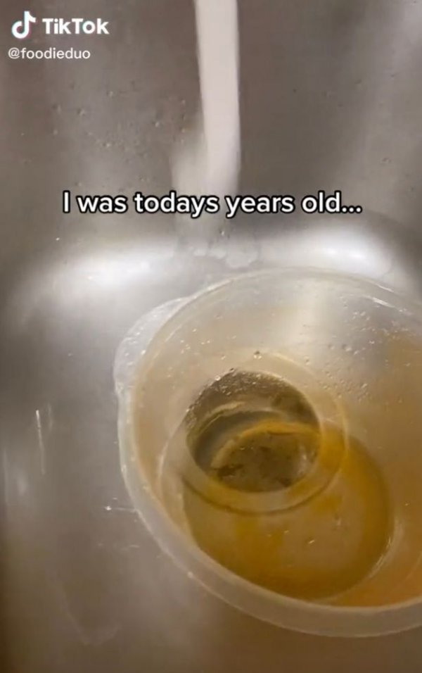 0-woman-shares-how-to-remove-stains-from-plastic-containers-in-30-seconds