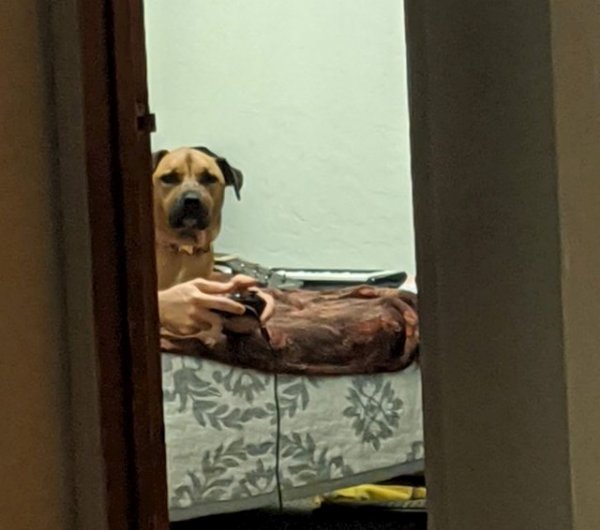 f6af6ea1-bbe1-4d38-acb4-f2ac8e1340af