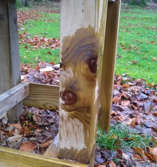 f2b024cb-757b-4089-b46f-07523e5a8f1b