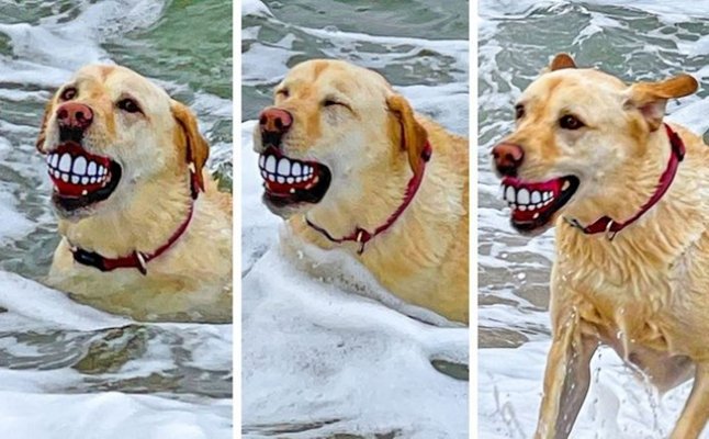 fabfcc96-3f2d-4ad5-b09b-4f4bf303ebc0