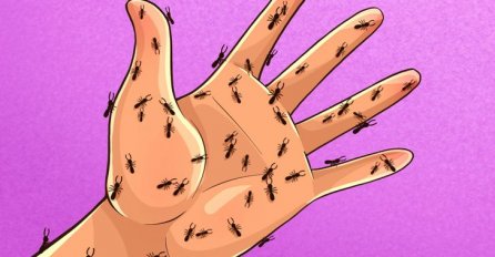 AKO IMATE OSJEĆAJ DA VAM MRAVI HODAJU PO RUKAMA - obratite pažnju: TO MOŽE BITI JAKO OPASNO