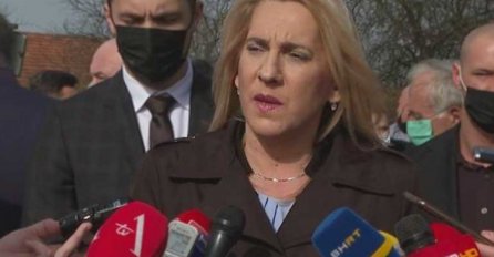 Cvijanović: Incko se nikada nije ponašao u skladu sa međunarodnim pravom