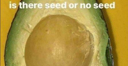 Mozgalica zaludjela internet, vidite li košticu u avokadu? Dobro pogledajte, ako niste sigurni stavite naočale