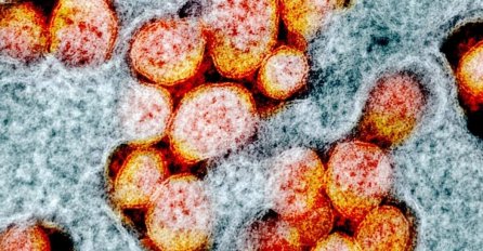 Korona virus u BiH od juče odnio 73 života, prijavljeno 818 novozaraženih