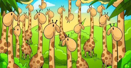 VIDITE LI ZMIJU NA OVOJ SLICI? Svaka vam čast ako je nađete: SAMO GENIJALCI UOČE ODMAH