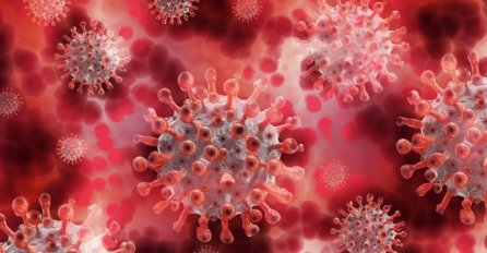 U Srbiji 2.000 novozaraženih, preminulo 15 pacijenata