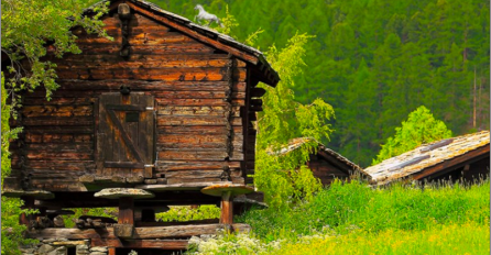 Možete li pronaći skrivenog konja za 5 sekundi? 1 od 3 osobe neće uspjeti