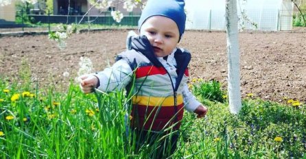 APEL: Daris treba našu pomoć, budimo humani!