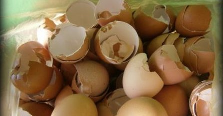 NI SLUČAJNO NE BACAJTE LJUSKE JAJA! Ubacite ih u jabukovo sirće, malo ljudi zna šta sve od njih može da se napravi!