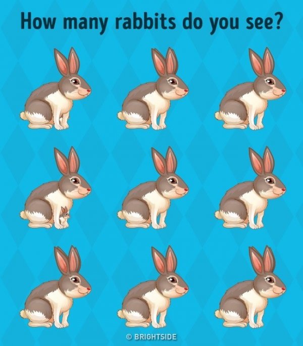 96529478-3316391908489529-9174988594610176000-n