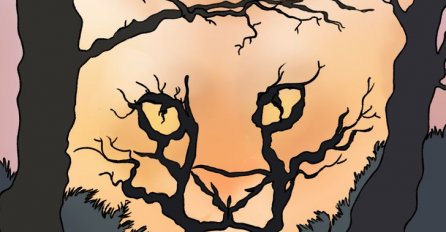 ŠTA STE PRVO UGLEDALI NA SLICI: Mozak bira prvo ono što vam je NAJVAŽNIJE, evo šta to govori o vama