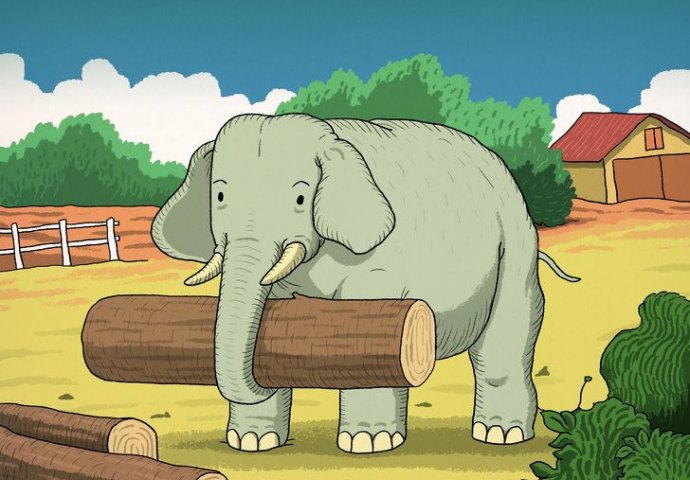 Slona svi vidite, A MOŽETE LI UOČITI SKRIVENU ŽIVOTINJU: Pogledajte iza, JEDAN DETALJ otkriva gdje je