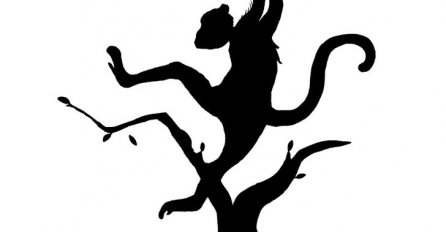 ŠTA STE PRVO UGLEDALI, glavu tigra ili visećeg majmuna: EVO ŠTA SE DEŠAVA S VAŠIM UMOM