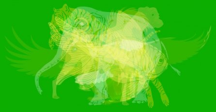 KOJU ŽIVOTINJU STE PRVO UGLEDALI: Ovaj test otkriva KAKVA STE VI OSOBA, tačno 100%