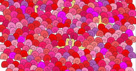 MOŽETE LI  PRONAĆI SRCE MEĐU PUŽEVIMA: Skoro niko ne može da ga uoči, DA VAS VIDIMO