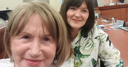 Baralija i Ćavar: "Pokušali smo spasiti ideju građanske države u BiH"