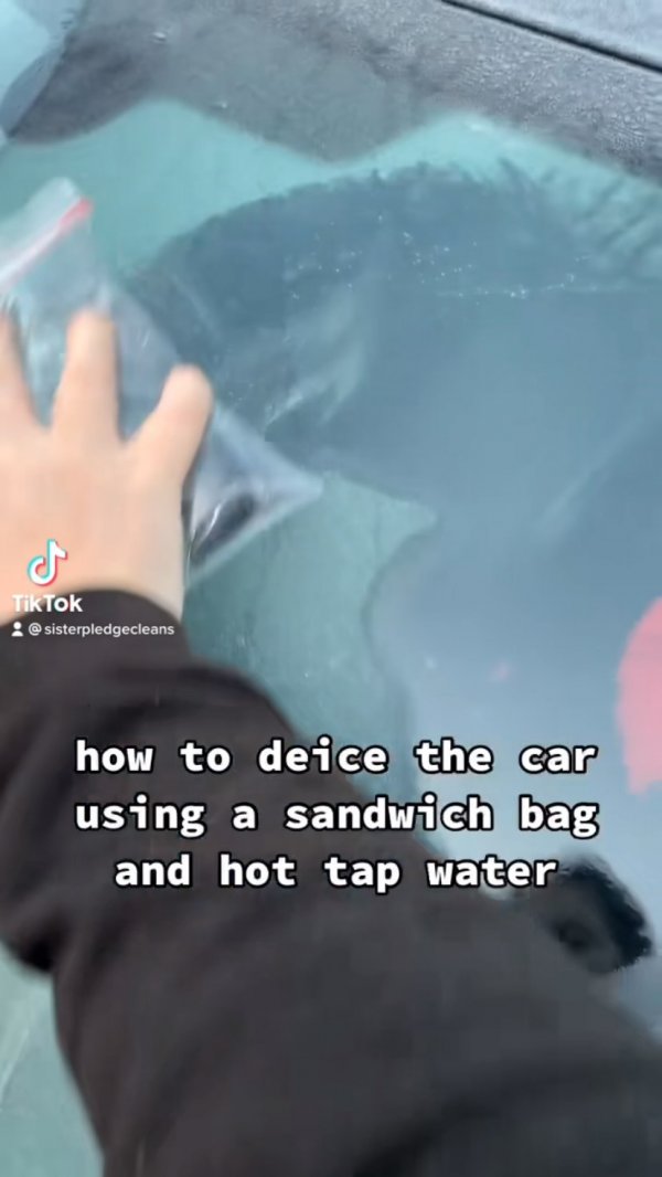 143241311-235543968062379-7594758356806849641-n