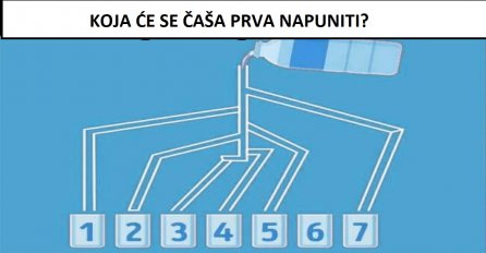 GENIJALCI DA VAS VIDIMO SADA!: Možete li pogoditi koja se čaša će se prva napuniti?