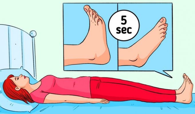 2cc5955ee0b58680583278dc48