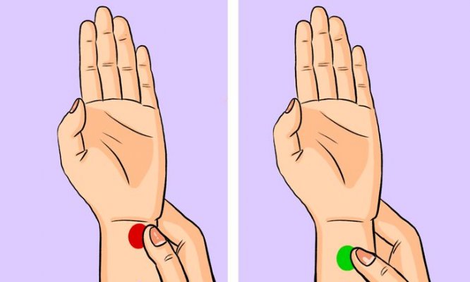 d23f315b098682269d5a943895