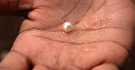 Kralj Solomon je OTKRIO NAJVEĆU MUDROST SVIJETA: Ako imaš PROBLEME, PROČITAJ OVO!