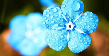 NAREDNIH 5 DANA DONOSI PROMJENE U VEZI/BRAKU, NAJBOLJI ASTROLOG OTKRIVA: Ovi horoskopski znakovi će raskinuti, LOŠE IM SE PIŠE