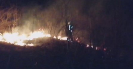 POŽAR U BANJA LUCI: Plamen zahvatio rastinje i proširio se do kuća, mještani i vatrogaci ga zaustavili