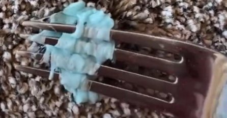 NEMA VIŠE MUČENJA: Evo kako da skinete ŽVAKU SA TEPIHA - jedna namirnica rješava cijeli haos! (VIDEO)