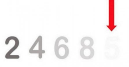 SAMO RIJETKI MOGU DA VIDE KOJI BROJ SE KRIJE ISPOD CRTICE: Jeste li i vi među njima?