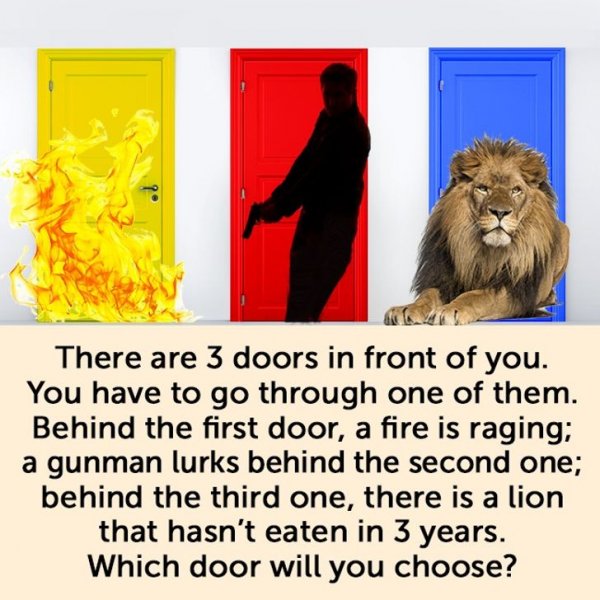 79f5af5e36ae2a5ff66cf0cc35