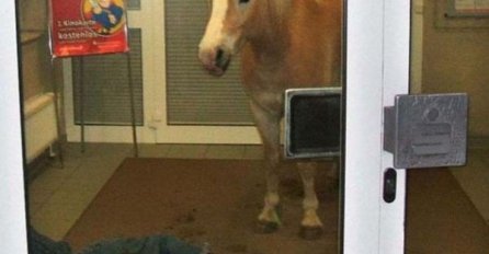 18 slika koje je nemoguće objasniti, ZABEZEKNUT ĆETE SE OD PRIZORA: Čekajte da vidite broj 8, ŠTA SE OVDJE DESILO?