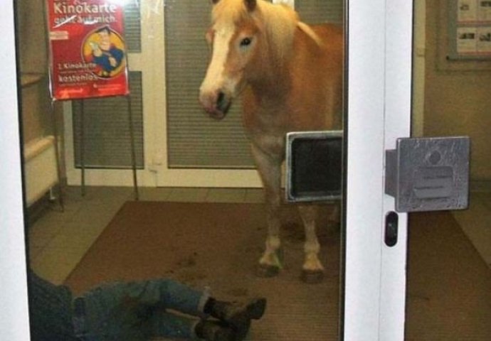 18 slika koje je nemoguće objasniti, ZABEZEKNUT ĆETE SE OD PRIZORA: Čekajte da vidite broj 8, ŠTA SE OVDJE DESILO?