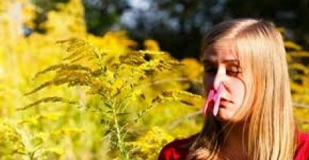 AKO IMATE ALERGIJU NA POLEN, OVO MORATE ZNATI: Evo kako da se zaštitite od uticaja alergena