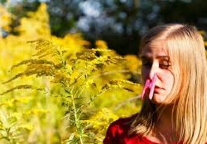 AKO IMATE ALERGIJU NA POLEN, OVO MORATE ZNATI: Evo kako da se zaštitite od uticaja alergena