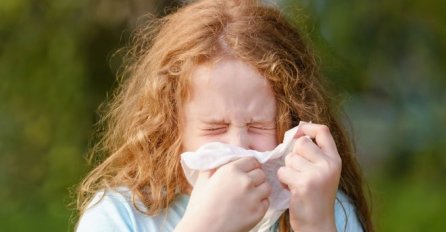 Povećana koncentracija polena u zraku, Sarajlijama se preporučuje oprez