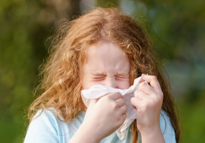 Povećana koncentracija polena u zraku, Sarajlijama se preporučuje oprez