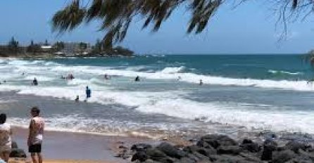 Boks meduza: australijski tinejdžer umire sedam dana nakon uboda, prva smrt poslije 15 godina!