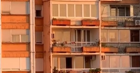 SLIKA SUŠENJA VEŠA IZ BEOGRADA PREPALA LJUDE, zbog ovog prizora dobijaju napad panike: SVE ĆE VAM BITI JASNO KAD VIDITE  