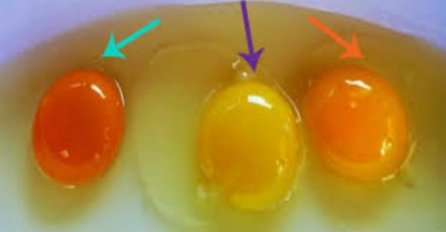 NISTE SIGURNI DA LI SU JAJA SVJEŽA? Prepoznajte LAKO pomoću ova tri trika!