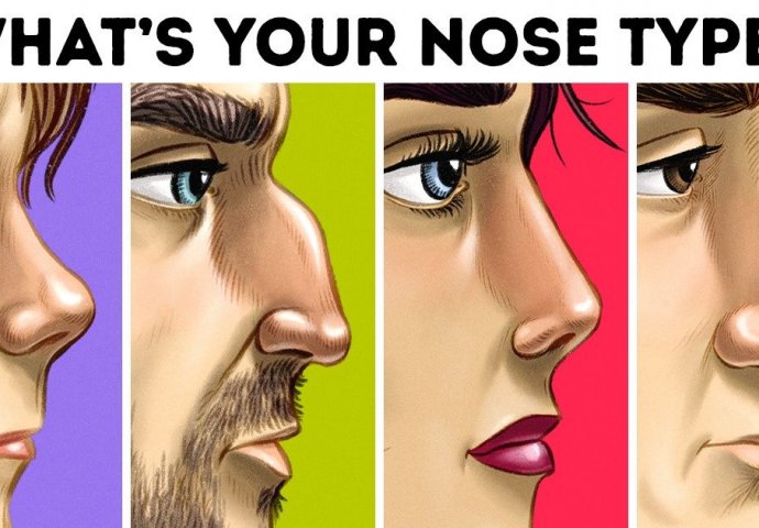 EVO ŠTA OBLIK NOSA OTKRIVA O VAMA: Stručnjaci vjeruju da nos može otkriti nevjerojatne činjenice o osobi