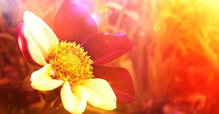 DANAS JE 8. MART, A EVO ŠTA VAS ČEKA SUTRA, 9. MART DONOSI PROMJENE: HOROSKOP do kraja sedmice, OBRATITE PAŽNJU