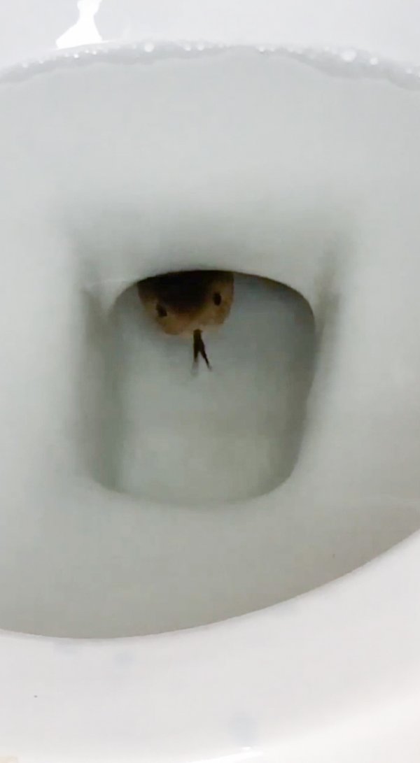 52cc3a43308797c1f034193c36db0eb9