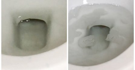 ČOVJEK U WC ŠOLJI UGLEDAO ČIST UŽAS, SAD OD STRAHA NE SMIJE UČI U KUPATILO: Čekajte da vidite sliku broj 2, sve će vam se samo kazati