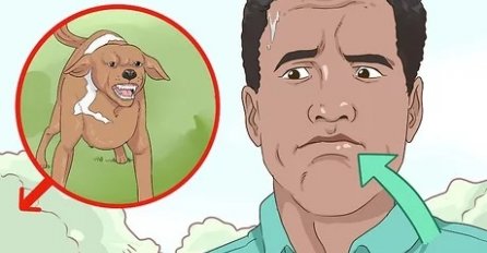 ŠTA DA RADITE AKO VAS NAPADNE PAS: Samo 1 riječ može vas SPASITI, evo kako da se odbranite