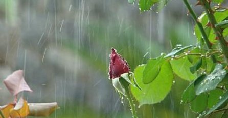 Vremenska prognoza: U BiH danas kiša, na planinama i snijeg