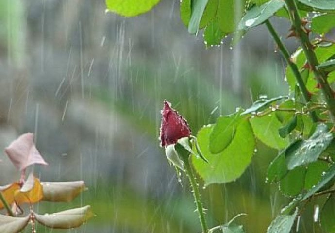 Vremenska prognoza: U BiH danas kiša, na planinama i snijeg