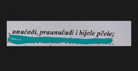 ZNATE LI ŠTA ZNAČI KADA NA SMRTOVNICI MEĐU OŽALOŠĆENIMA PIŠU  "BIJELE PČELE"? Objavljeno obrazloženje, ovo sigurno niste znali