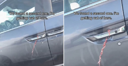 AKO VIDITE ŽICU NA BRAVI, NE PRILAZITE KOLIMA: Žena objavila video upozorenja, ovo svi treba da vide!